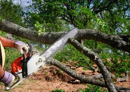 Lawn Watering Services in Union Grove, WI